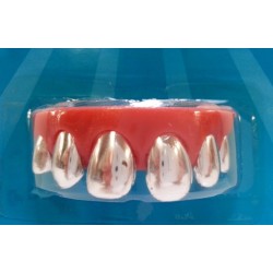 Dentier Dents Argent